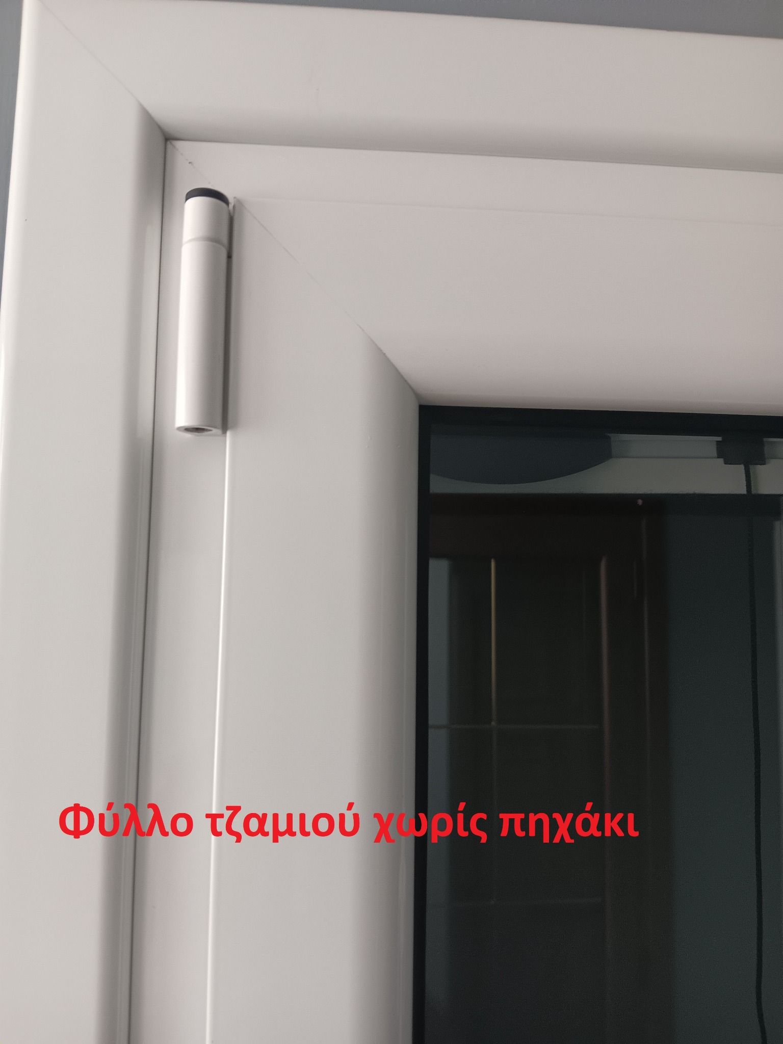 φυλλα τζαμιου χωρις πηχακι