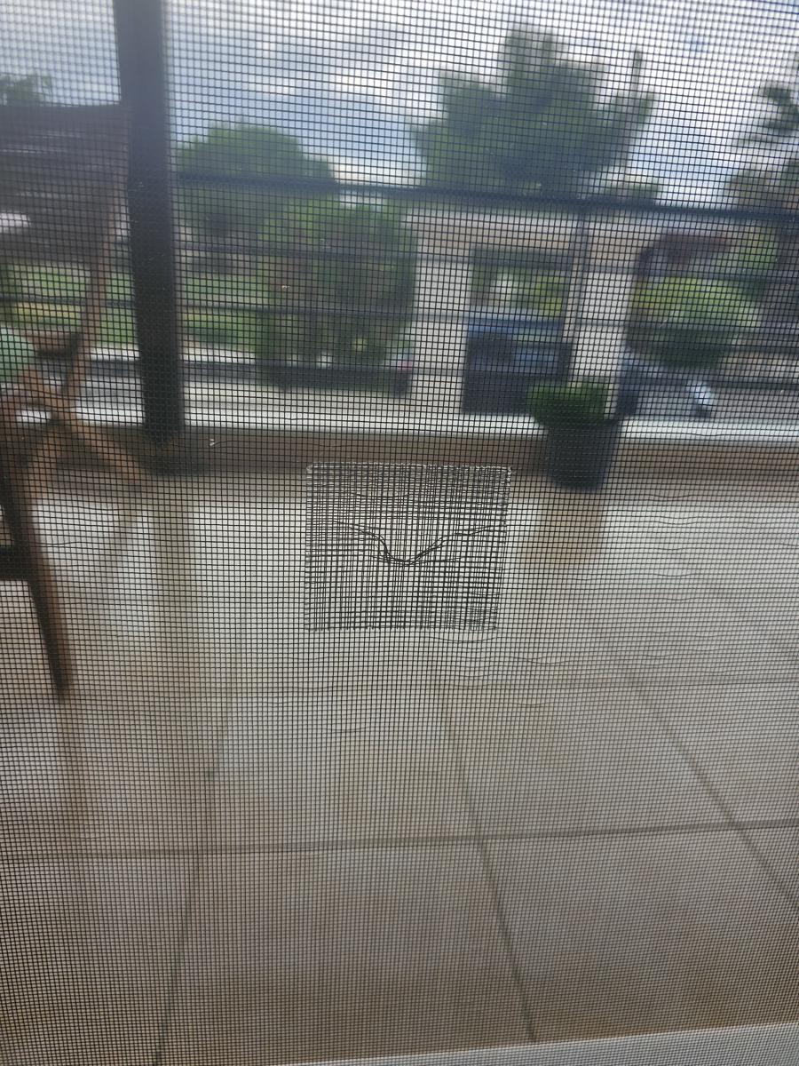 μπαλωμα στις σίτες