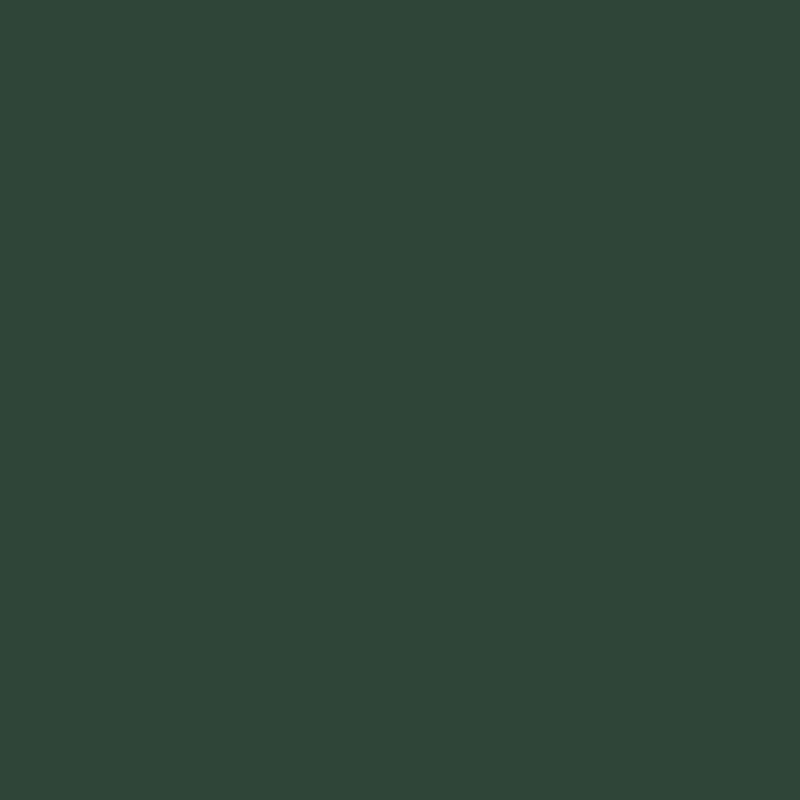 χρωμα ρολων αλουμινιου πολυουρεθανης 06-moss-green-RAL-6005
